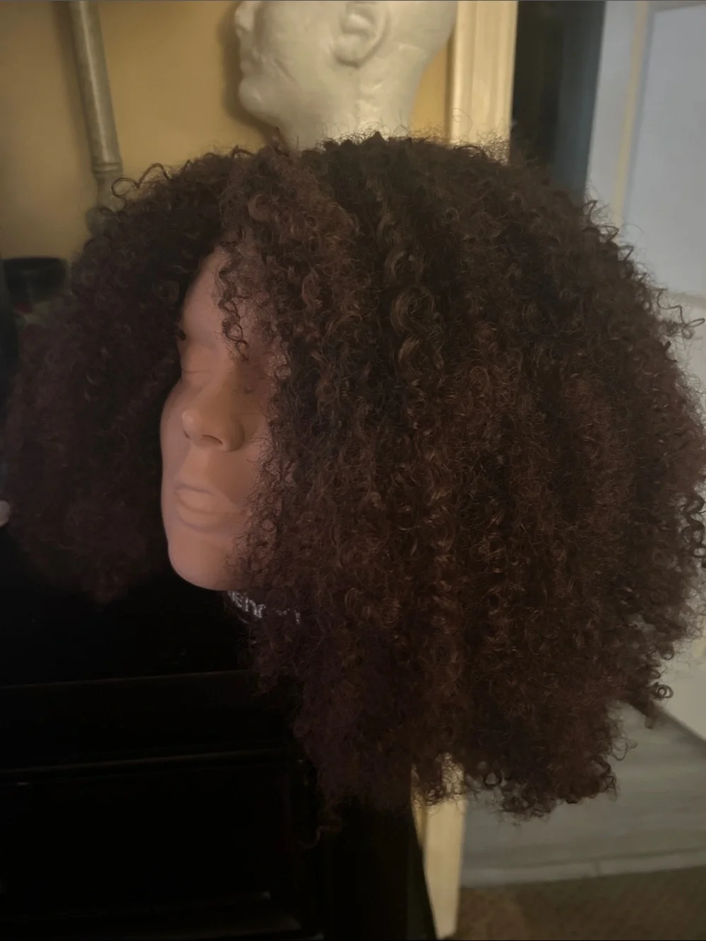 Natural Curly Women’s Wig - Dark Brown